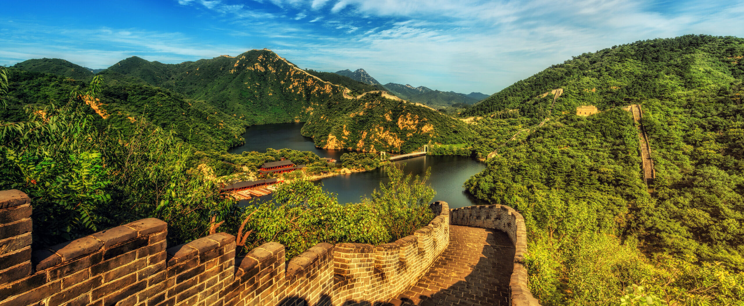 El terruño del té: cuando la tierra define el sabor